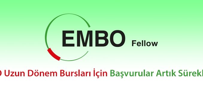 embo_ana