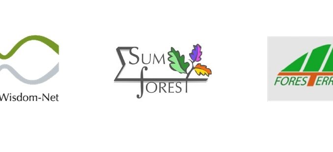 forest value