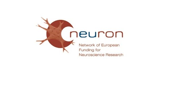 neuron