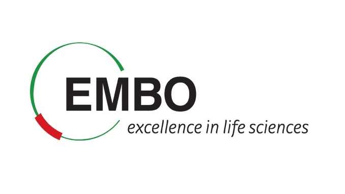 embo_ana_1 - Copy