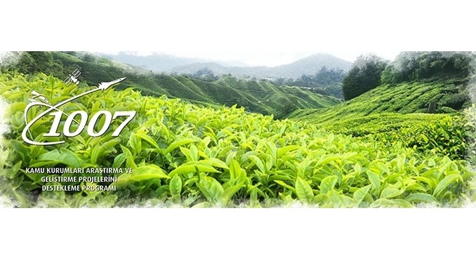 TÜBİTAK 1007 “Çay Bitkisi Gen Havuzunun Oluşturulması ve Ticari Çeşit Adaylarının Belirlenmesi” Çağrısı! Son Başvuru Tarihi: 13 Temmuz 2018