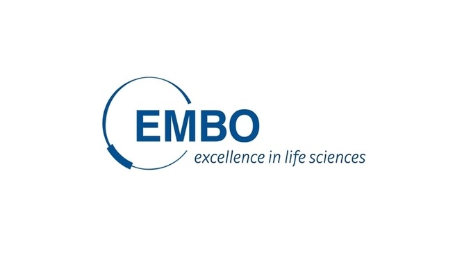 embo 678x381