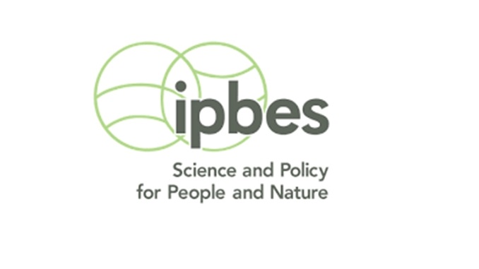 ipbes_ana